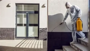 شركة مكافحة حشرات ببريدة1