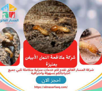 شركة مكافحة النمل الأبيض بعنيزة