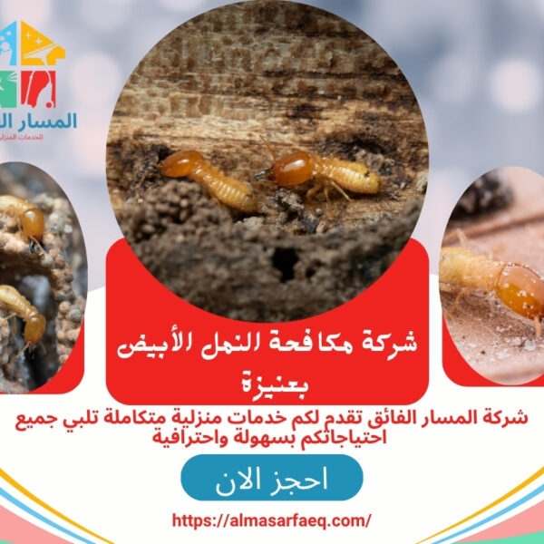 شركة مكافحة النمل الأبيض بعنيزة