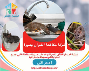 شركة مكافحة الفئران بعنيزة