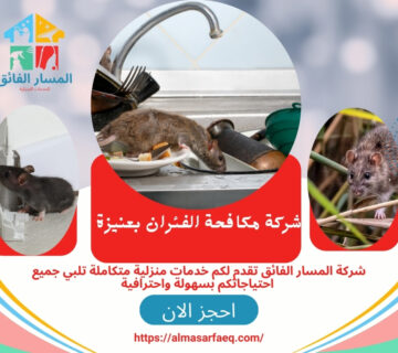 شركة مكافحة الفئران بعنيزة
