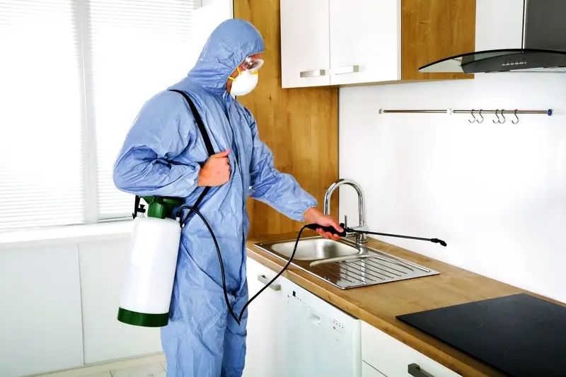 أفضل شركة مكافحة الصراصير بعنيزة