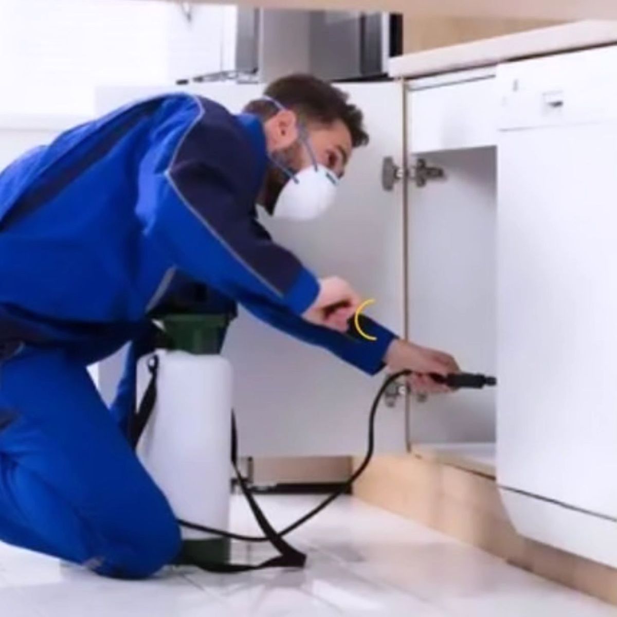 رش الصراصير في المنازل