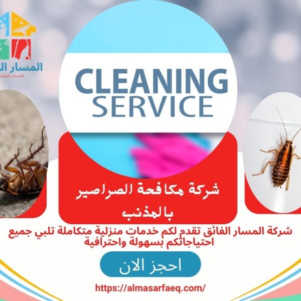 شركة تنظيف بالمذنب 600x600