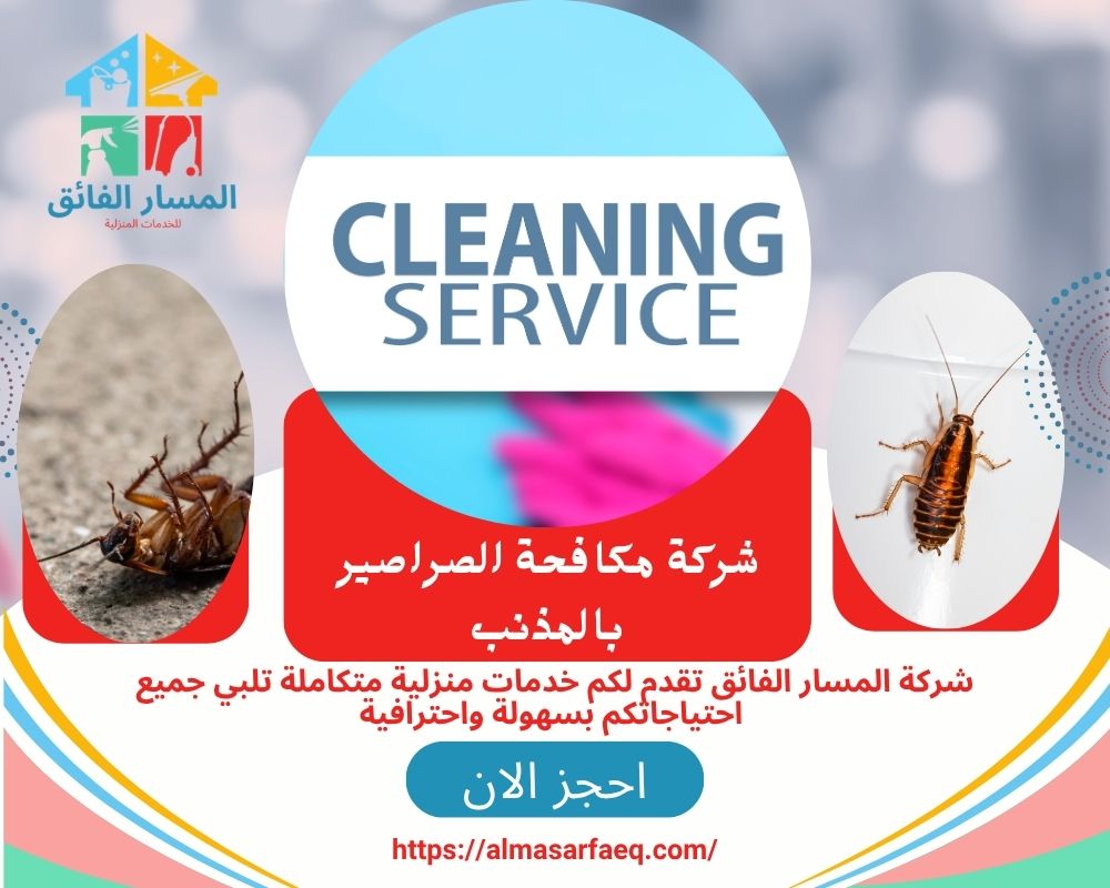 شركة تنظيف بالمذنب