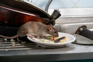 rat bpca food public health