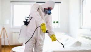 sXZW2rmcD8wpQBJJqPVLDwyjU 2WdgNPjIPZt0FAWWqR3xORn4L6ao7zntWSneipy J6SiuImg2xq6kyOPYLnoC 49yiNswEfFYZeWx4Pd8VzhY3LjbFO440qLvxhl12tMcqrGQO0TtOzj0hrUjeGPdLP4ThGWfsxcnI0zCcG XR5V6SFaSNli9oQhT7LZ2