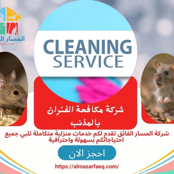 شركة تنظيف بالمذنب 1 600x600