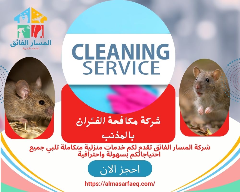 شركة تنظيف بالمذنب 1