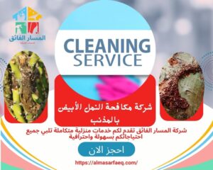 شركة مكافحة النمل الأبيض بالمذنب 300x240