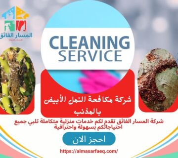 شركة مكافحة النمل الأبيض بالمذنب 360x320
