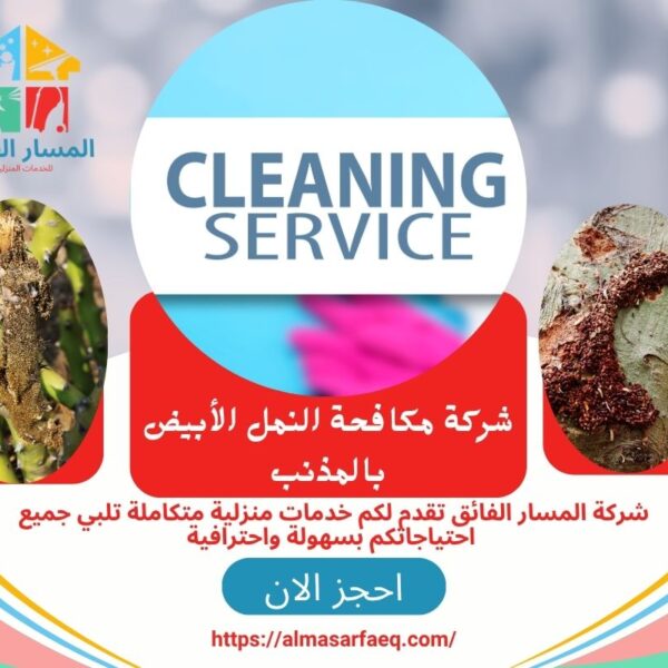 شركة مكافحة النمل الأبيض بالمذنب 600x600